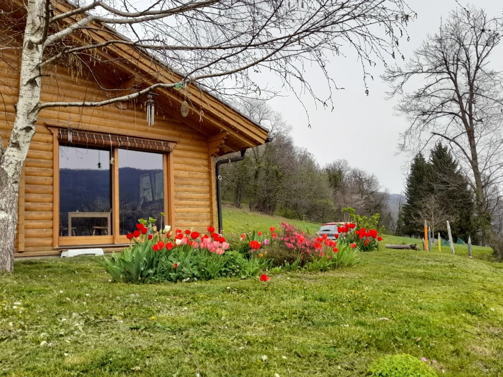 Aimar Immobiliare GAI0101 foto principale